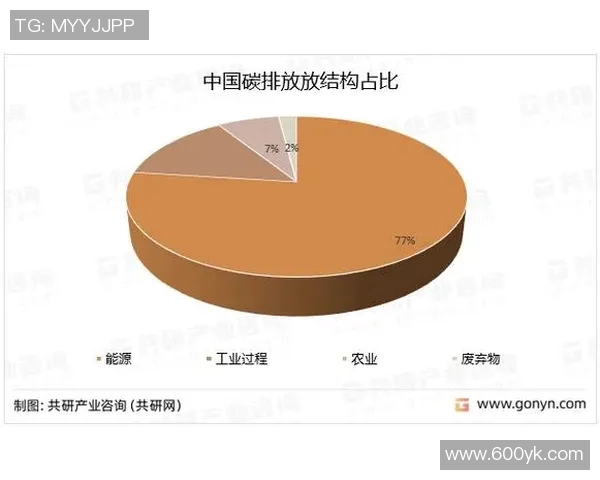 上海排球队运营模式创新探索与发展路径分析 上海排球队运营模式创新探索与发展路径分析