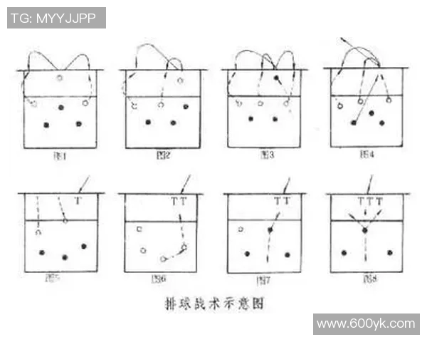 广州排球队技术探讨：提升战术水平与球员素质的关键要素分析