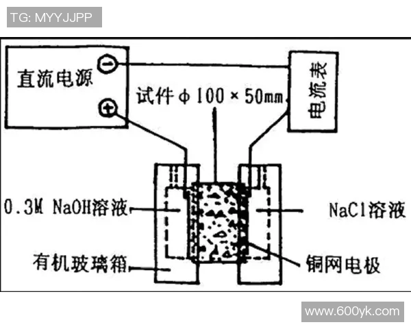 成都羽毛球队边路渗透战术分析及其对比赛结果的影响探讨