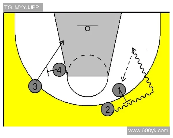 深入分析杭州排球队的包夹战术及其对比赛的影响与应用